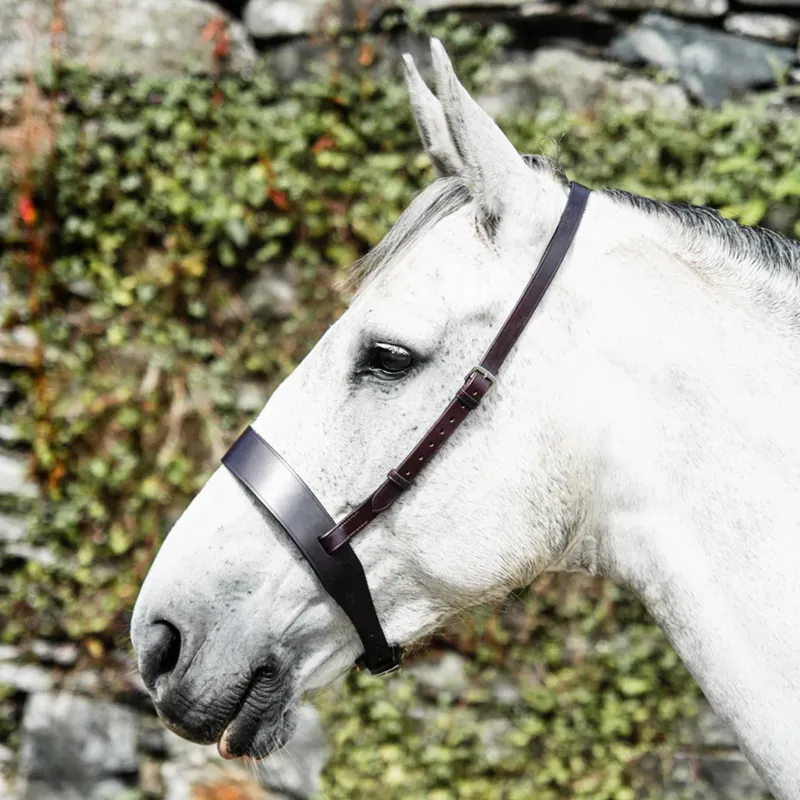 Mackey Classic Wide Flat Cavesson Noseband - Brown